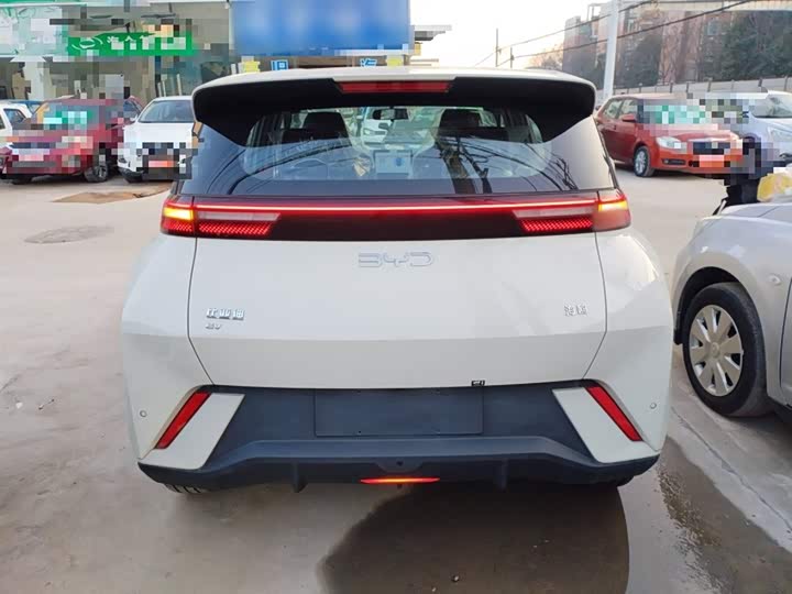 BYD Seagull 2025 2025款 305km 自由版