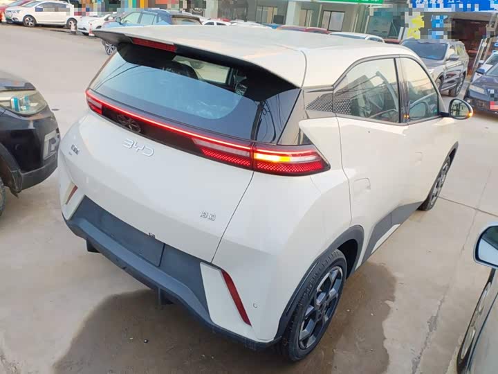 BYD Seagull 2025 2025款 305km 自由版