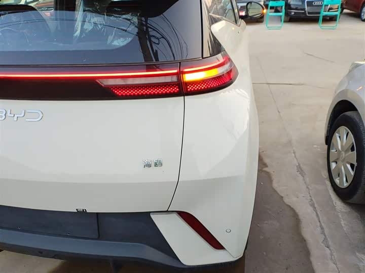 BYD Seagull 2025 2025款 305km 自由版