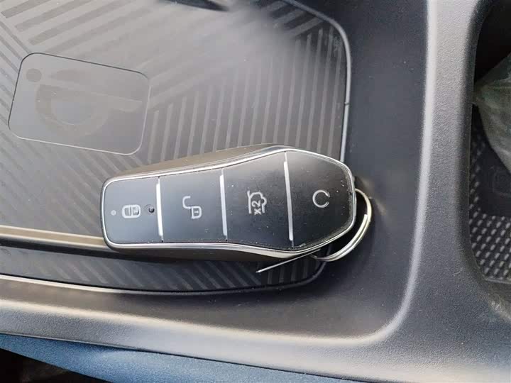 BYD Seagull 2025 2025款 305km 自由版