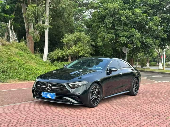 Mercedes-Benz CLS-Class 2023 2023款 CLS 300 豪华型