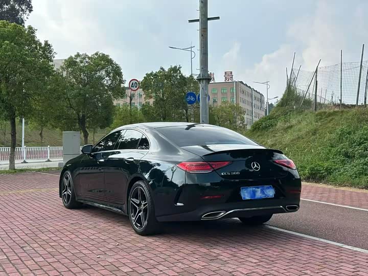 Mercedes-Benz CLS-Class 2023 2023款 CLS 300 豪华型