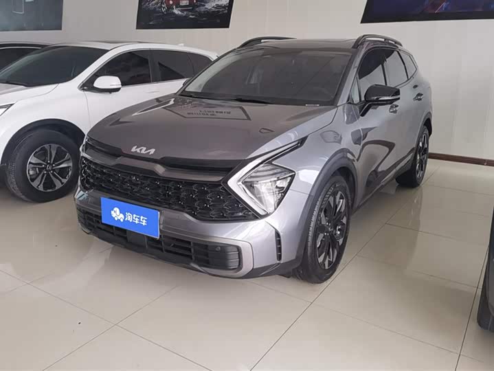 Kia Sportage 2023 2023款 2.0T 两驱尊贵版
