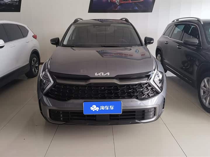 Kia Sportage 2023 2023款 2.0T 两驱尊贵版