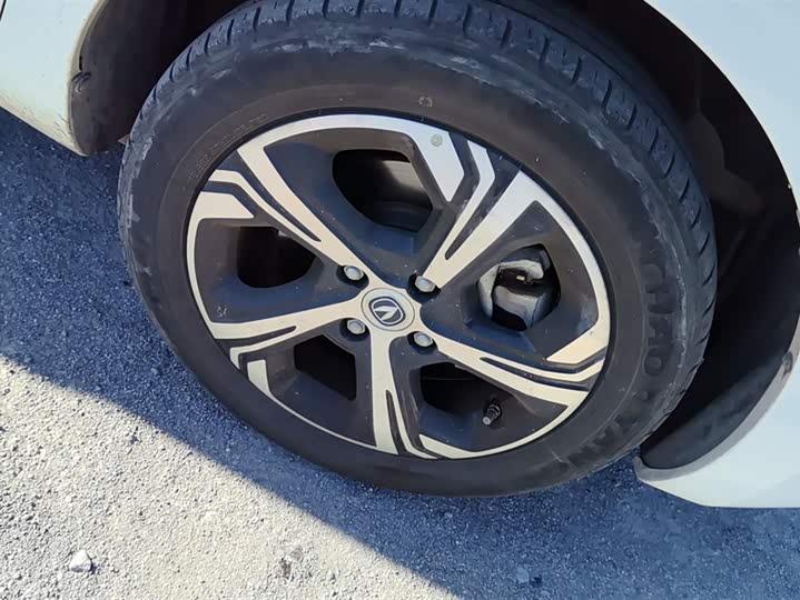 Changan BenBen E-Star 2021 2021款 国民版 心悦版 三元锂