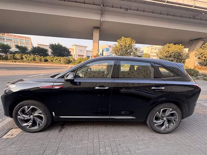 Hongqi HS3 Hybrid 2024 2024款 115km 劲为版
