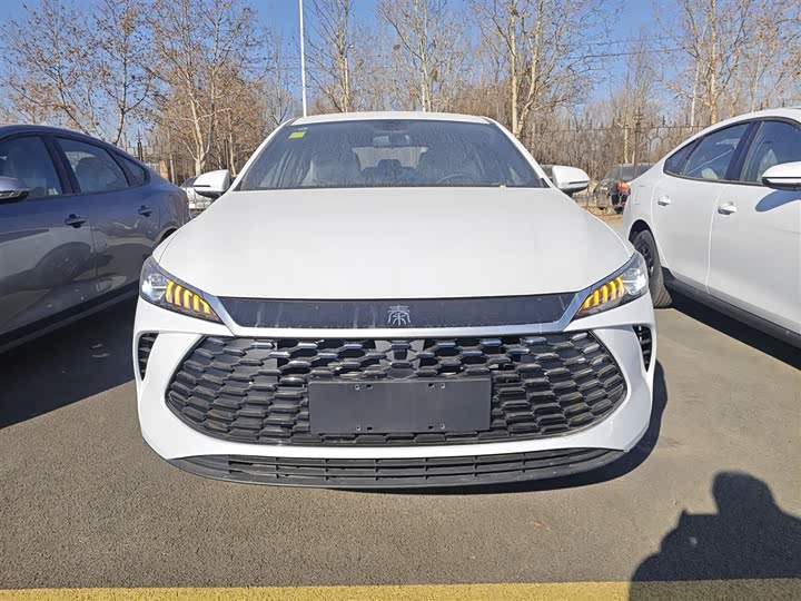 BYD Qin Plus 2025 2025款 DM-i 智驾版 55KM领先型