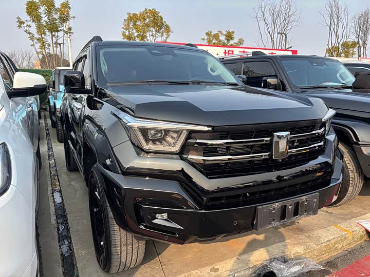 Tank 400 Hybrid 2024 2024款 Hi4-T 越野版