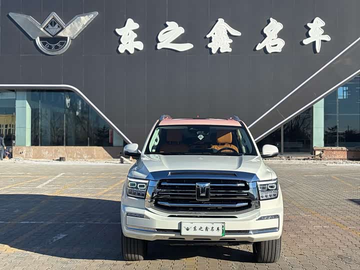 Tank 500 Hybrid 2025 2025款 Hi4-Z 一定红