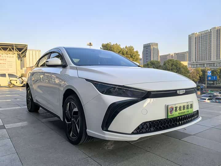 Geely Geometry G6 2024 2024款 500KM 尊贵型