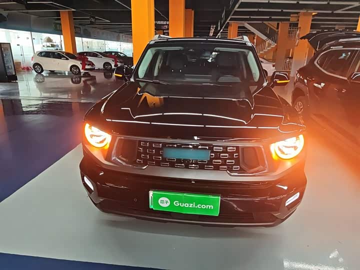 2024 Haval H-Dog Hybrid