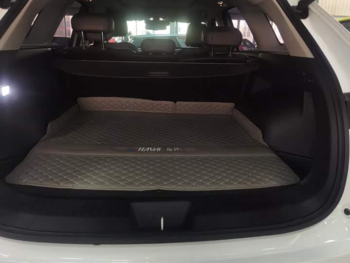 Haval Ruge Max 2023 2023款 1.5L Hi4 105 四驱精英版