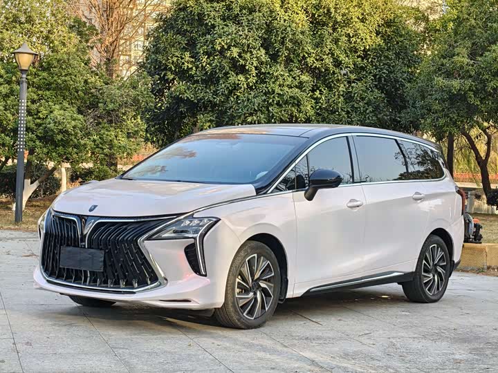 Dongfeng Forthing Yacht 2023 2023款 1.5T DCT星空旗舰版