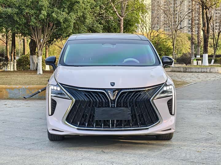 Dongfeng Forthing Yacht 2023 2023款 1.5T DCT星空旗舰版