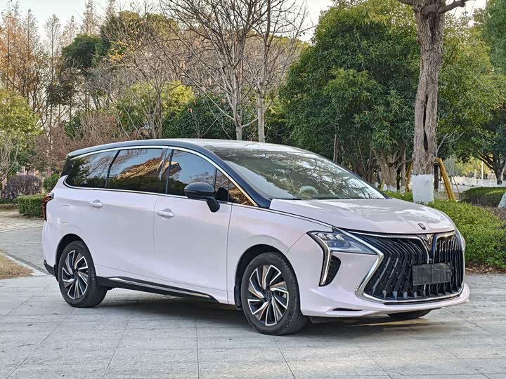 Dongfeng Forthing Yacht 2023 2023款 1.5T DCT星空旗舰版