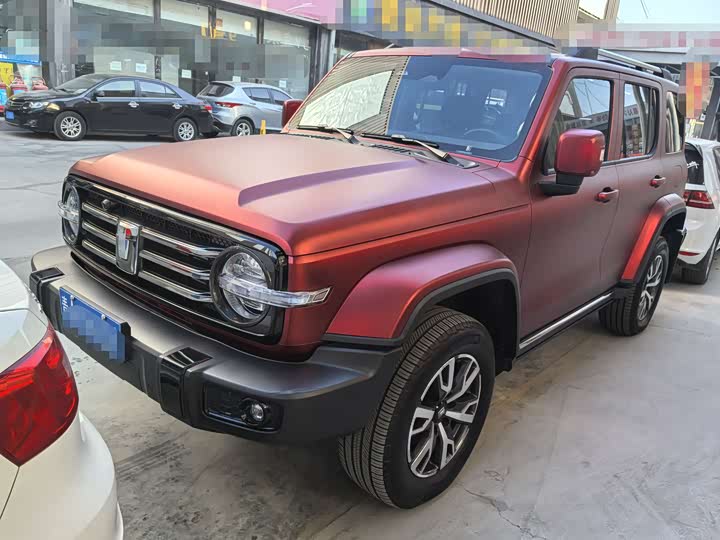 Tank 300 2024 2024款 2.0T 穿越者