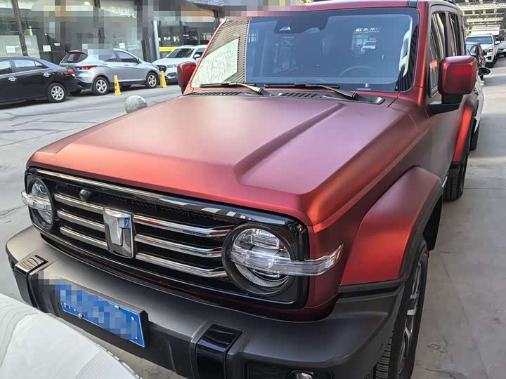 Tank 300 2024 2024款 2.0T 穿越者