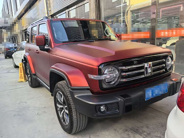 Tank 300 2024 2024款 2.0T 穿越者