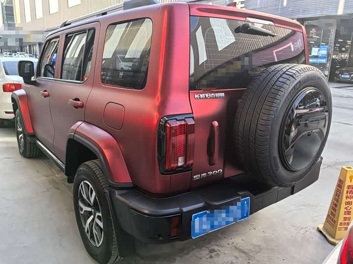 Tank 300 2024 2024款 2.0T 穿越者