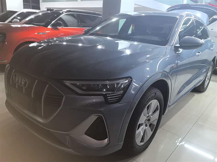 Audi e-tron 2021 2021款 50 quattro 豪华型