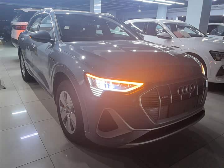 Audi e-tron 2021 2021款 50 quattro 豪华型