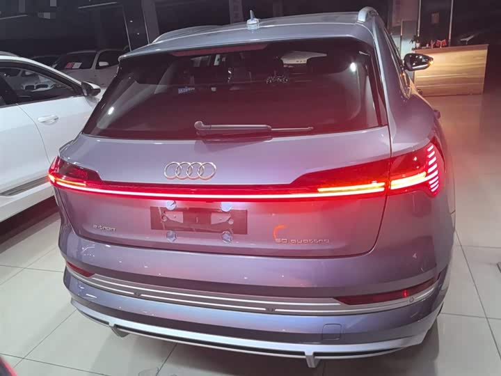 Audi e-tron 2021 2021款 50 quattro 豪华型