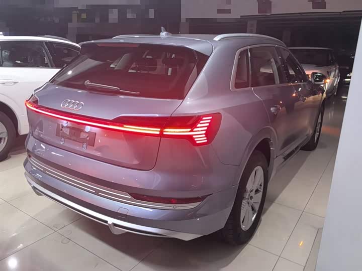Audi e-tron 2021 2021款 50 quattro 豪华型
