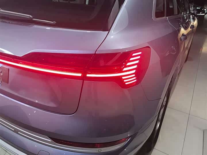 Audi e-tron 2021 2021款 50 quattro 豪华型