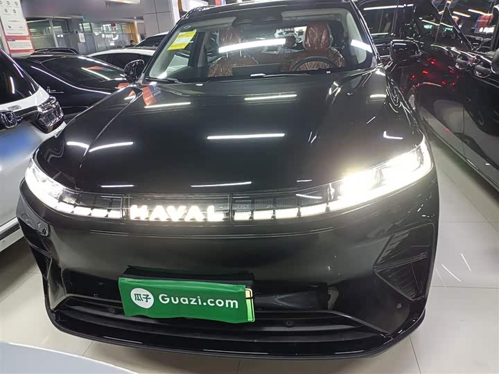 Haval Ruge Max 2025 2025款 Hi4 110 Plus 智驾版