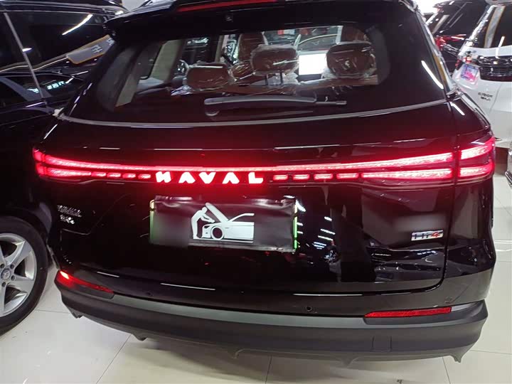 Haval Ruge Max 2025 2025款 Hi4 110 Plus 智驾版