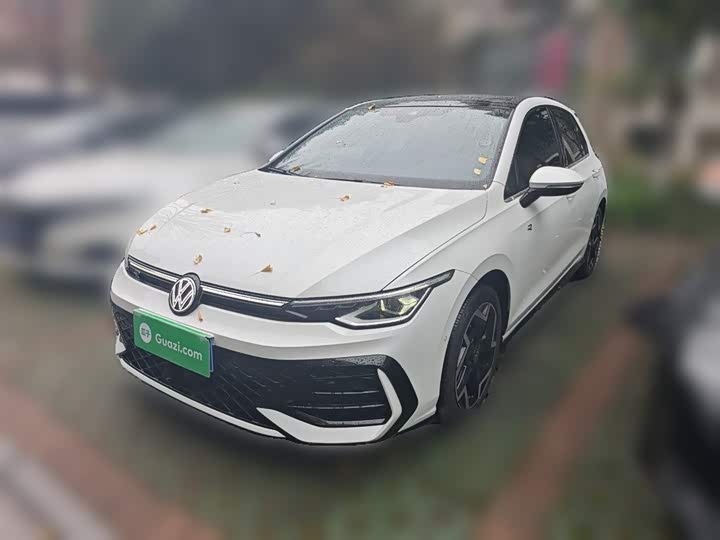 Volkswagen Golf 2025 2025款 300TSI R-Line