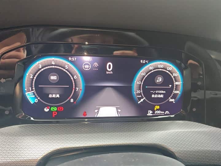 Volkswagen Golf 2025 2025款 300TSI R-Line