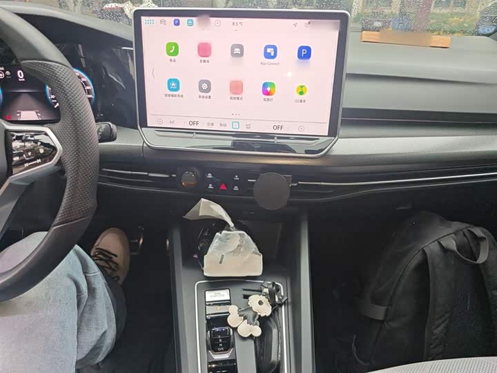 Volkswagen Golf 2025 2025款 300TSI R-Line