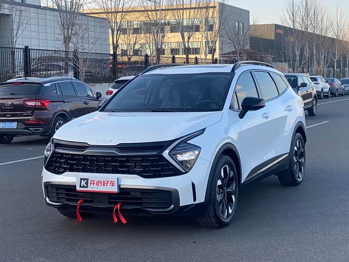 Kia Sportage 2023 2023款 2.0T 两驱尊贵版