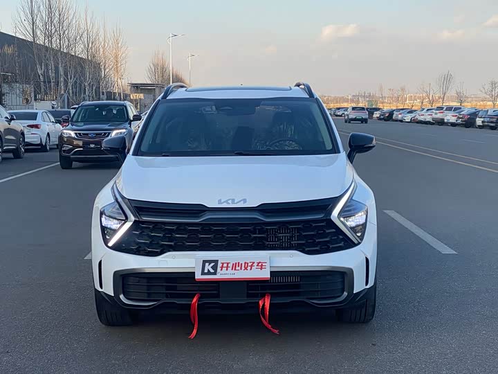 Kia Sportage 2023 2023款 2.0T 两驱尊贵版