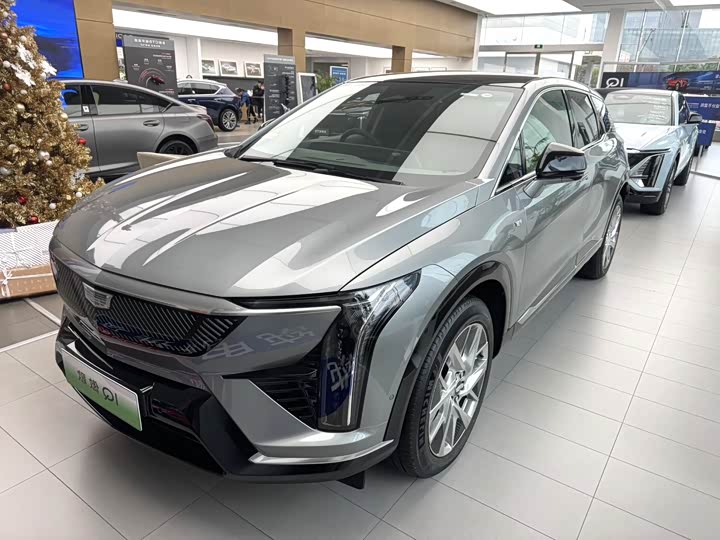 Cadillac Optiq 2024 2024款 标准续航版