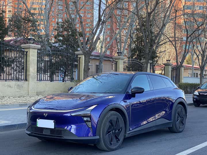 Geely Jiyue 01 2024 2024款 Max 性能版