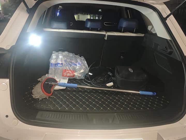 Exeed LX C-DM Hybrid 2024 2024款 C-DM 1.5TCI 105KM优享版