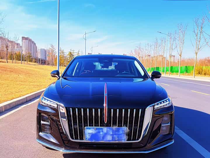 Hongqi H5 2025 2025款 2.0T 自动旗享版