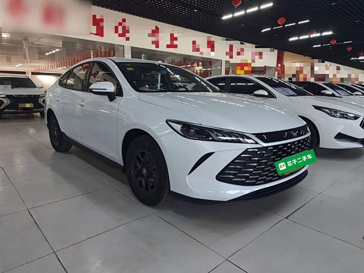 BYD Qin Plus 2025 2025款 DM-i 智驾版 55KM领先型