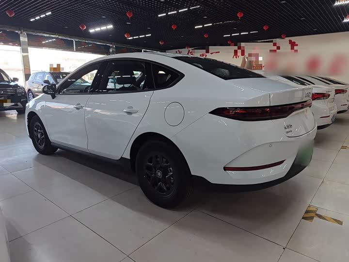 BYD Qin Plus 2025 2025款 DM-i 智驾版 55KM领先型