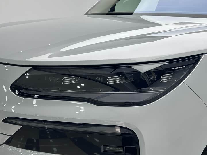 Denza N9 2025 2025款 旗舰型