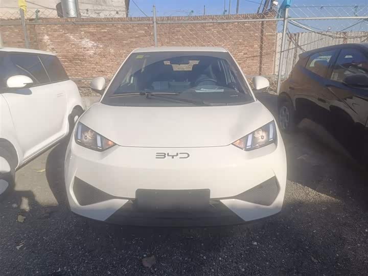 BYD Seagull 2025 2025款 智驾版 305km 活力版