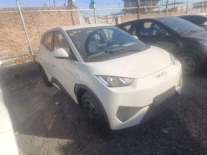 BYD Seagull 2025 2025款 智驾版 305km 活力版