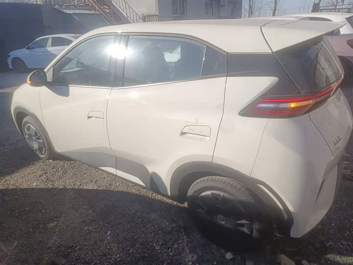 BYD Seagull 2025 2025款 智驾版 305km 活力版