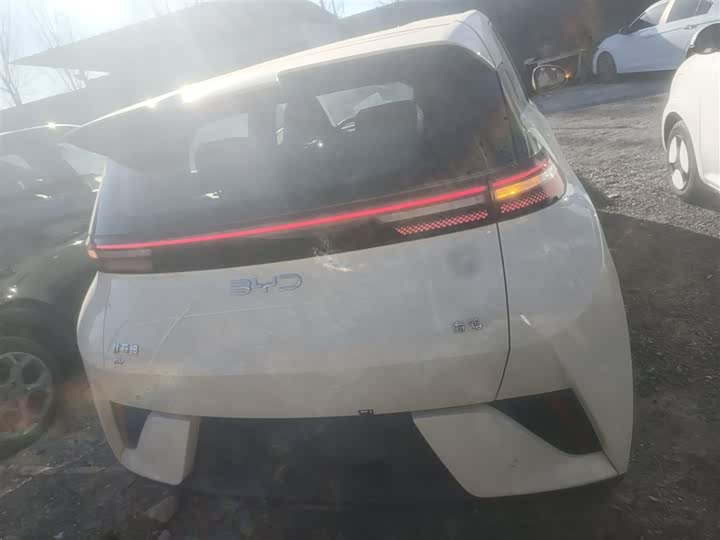 BYD Seagull 2025 2025款 智驾版 305km 活力版