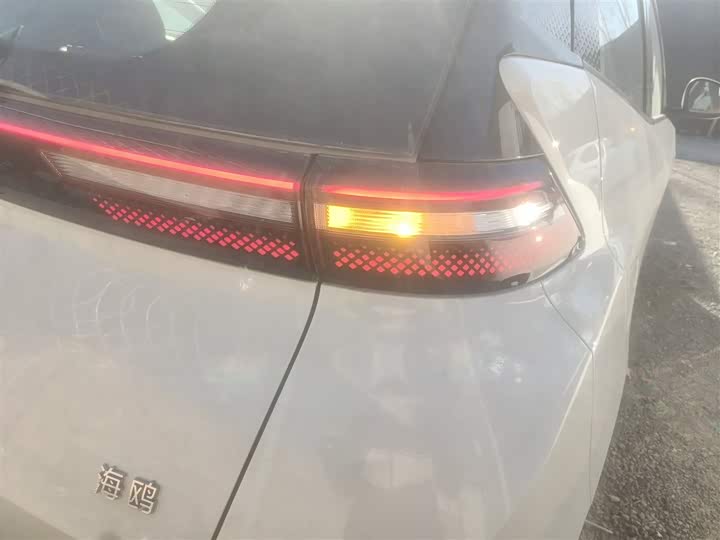 BYD Seagull 2025 2025款 智驾版 305km 活力版