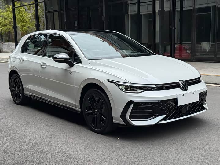 Volkswagen Golf 2025 2025款 300TSI R-Line