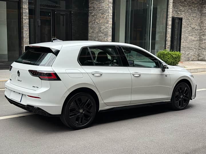 Volkswagen Golf 2025 2025款 300TSI R-Line
