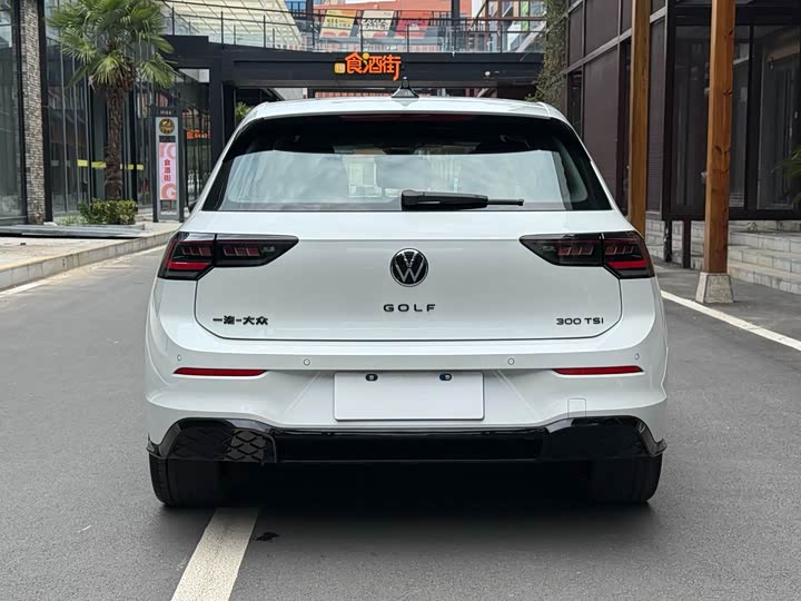 Volkswagen Golf 2025 2025款 300TSI R-Line